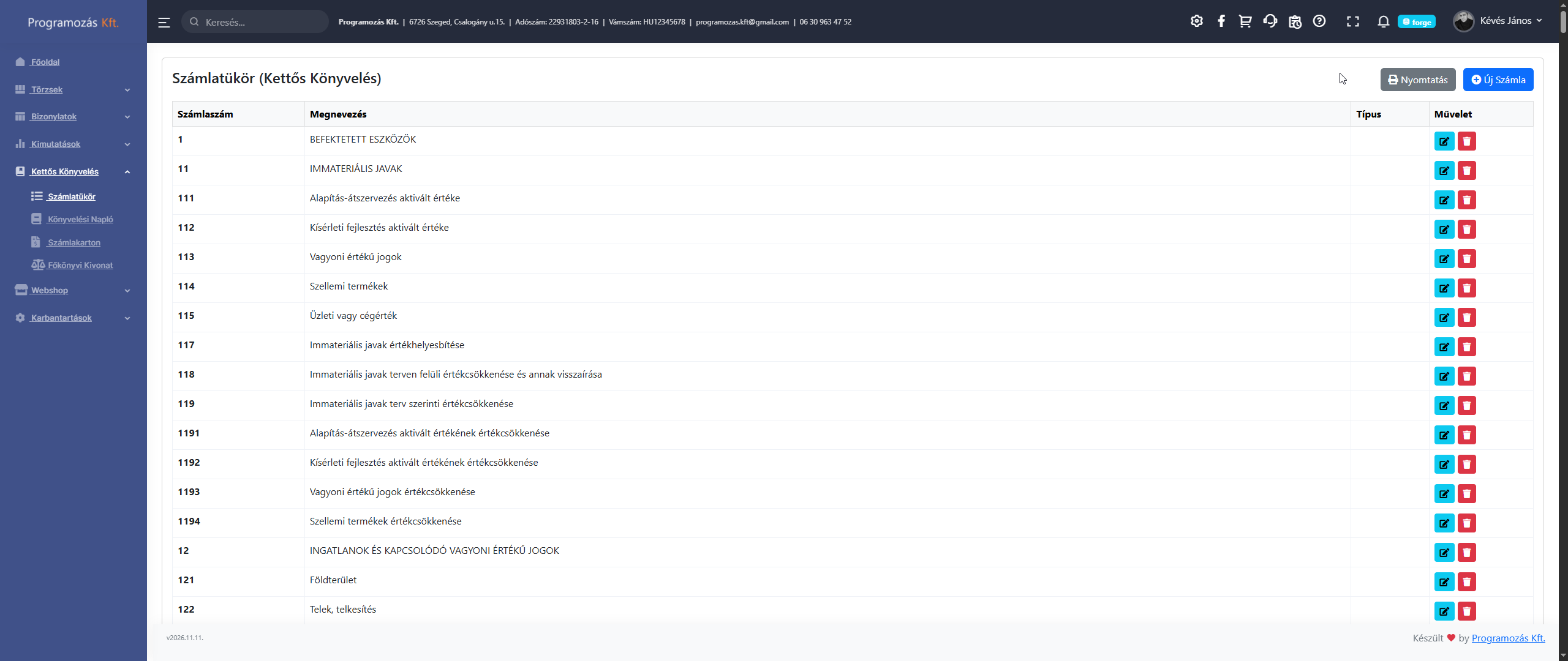 Számlatükör lista